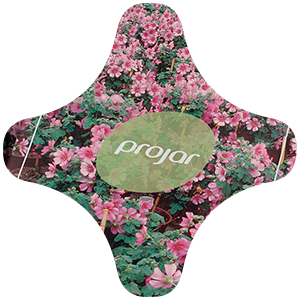 Diseño de catálogo de producto