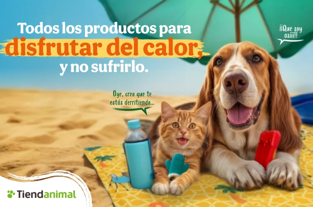 Tiendanimal Tiendanimal diseño gráfico para marcas consolidadas Keyvisual Veroma