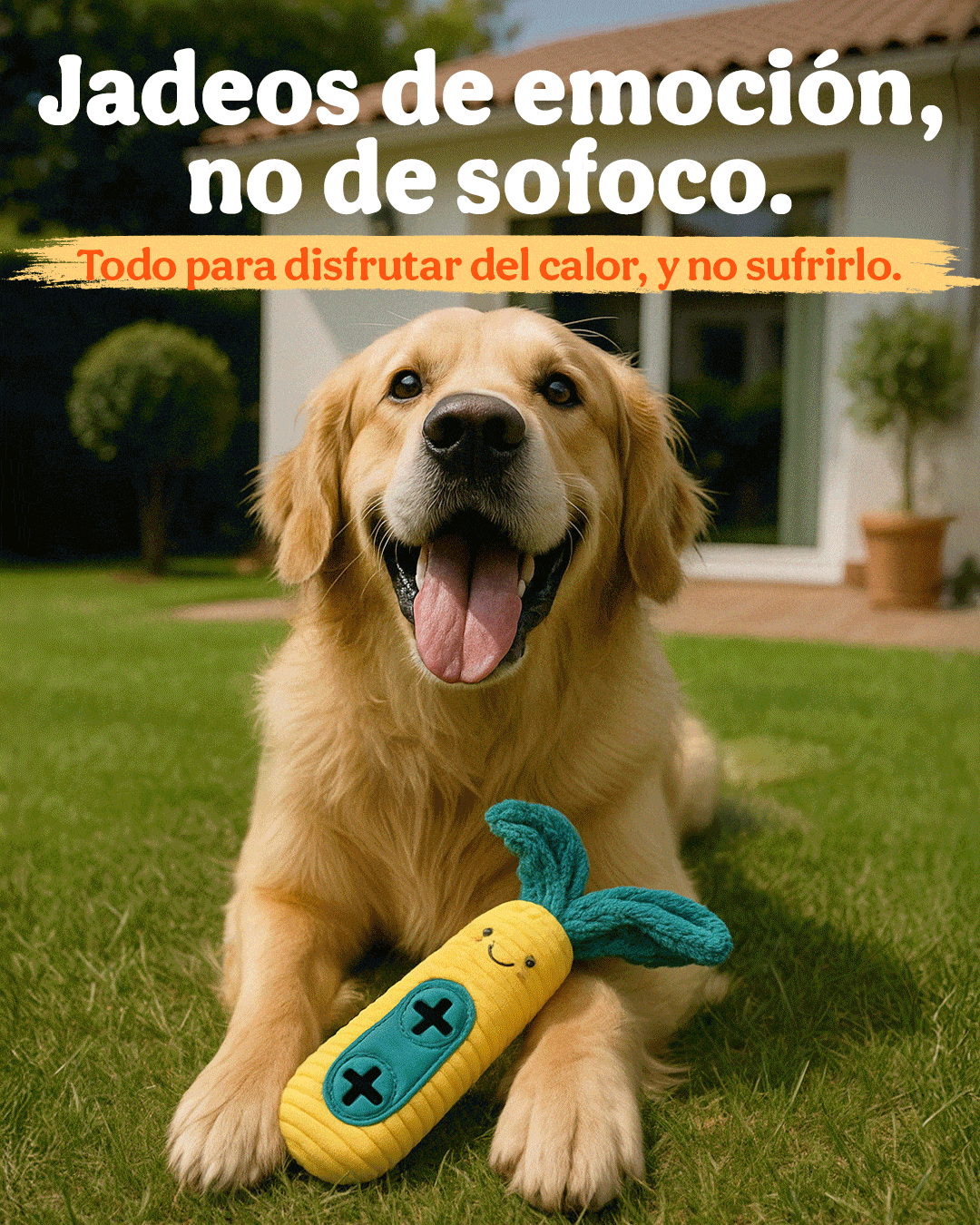 Tiendanimal diseño gráfico para marcas consolidadas RRSS Veroma